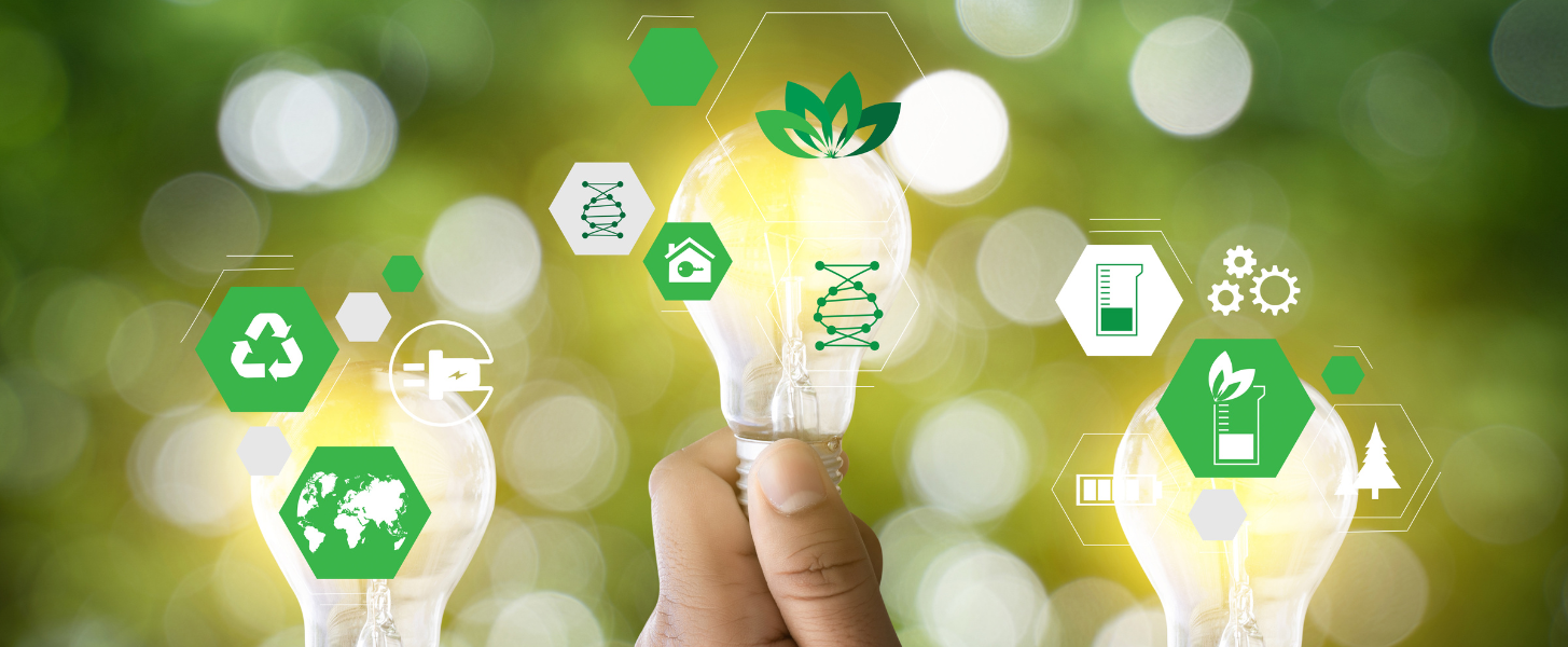 Empowering Sustainability: Eco-Friendly IT Strategies for MSPs